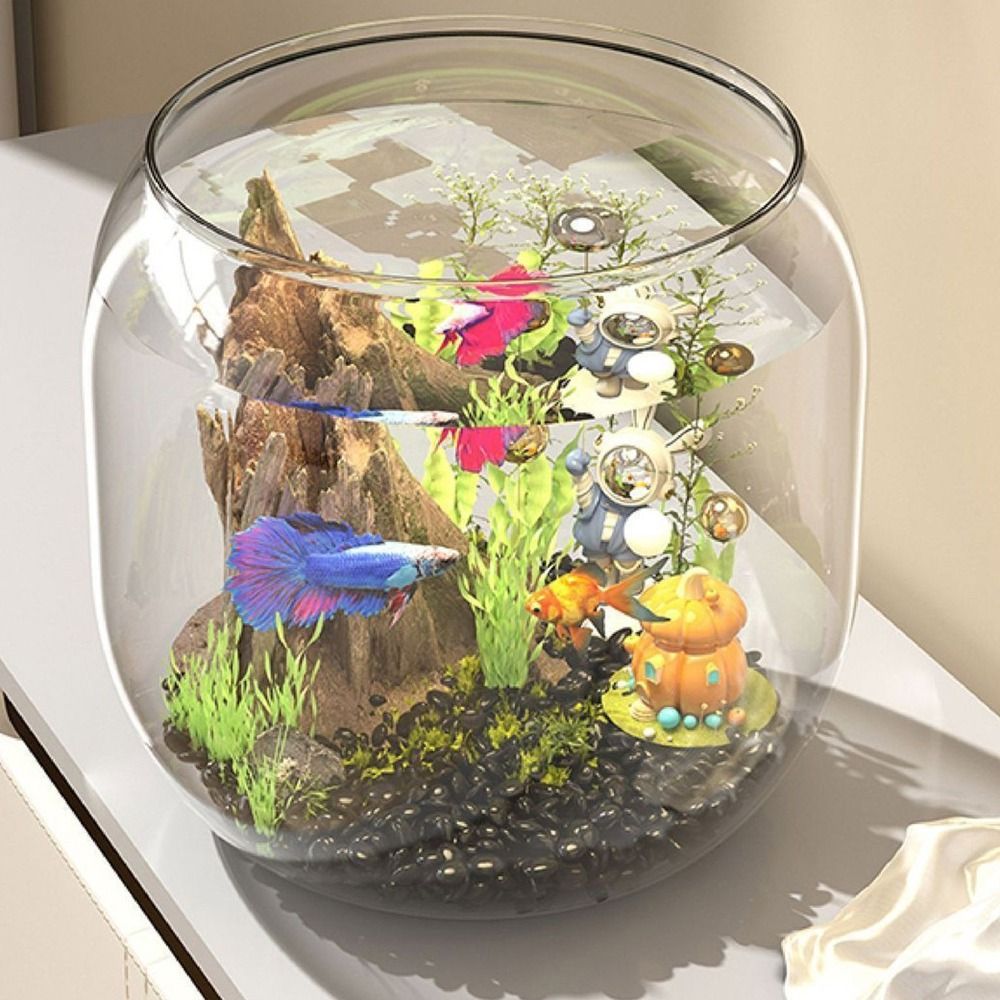 Aquarium Fish Live - 투명한 원형 어항, 깨지지 않는 플라스틱