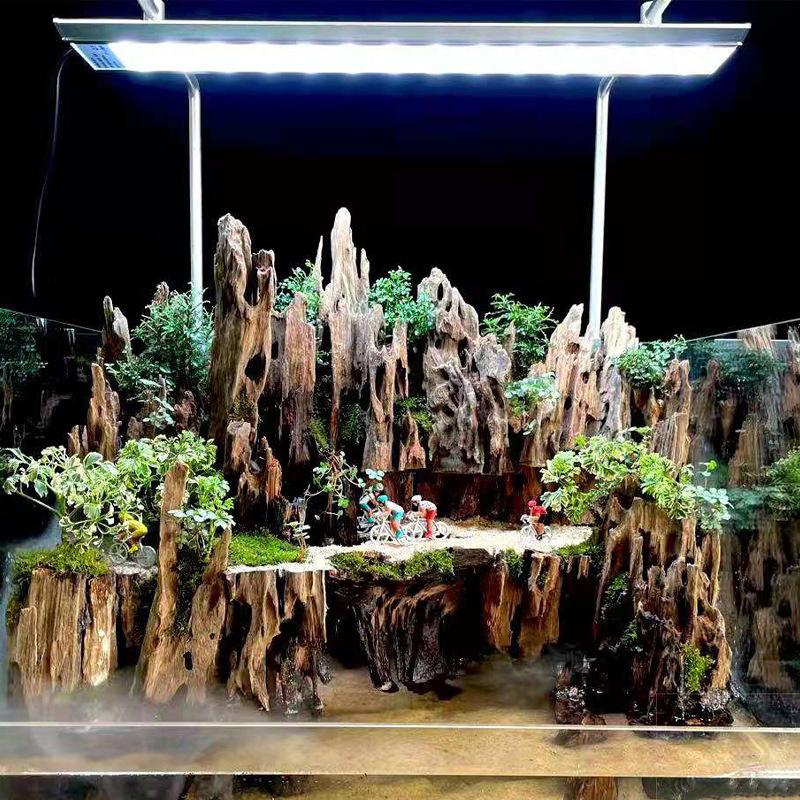 Aquarium Fish Tank Price - 새우를 위한 자연스러운 구멍이 있는 어항