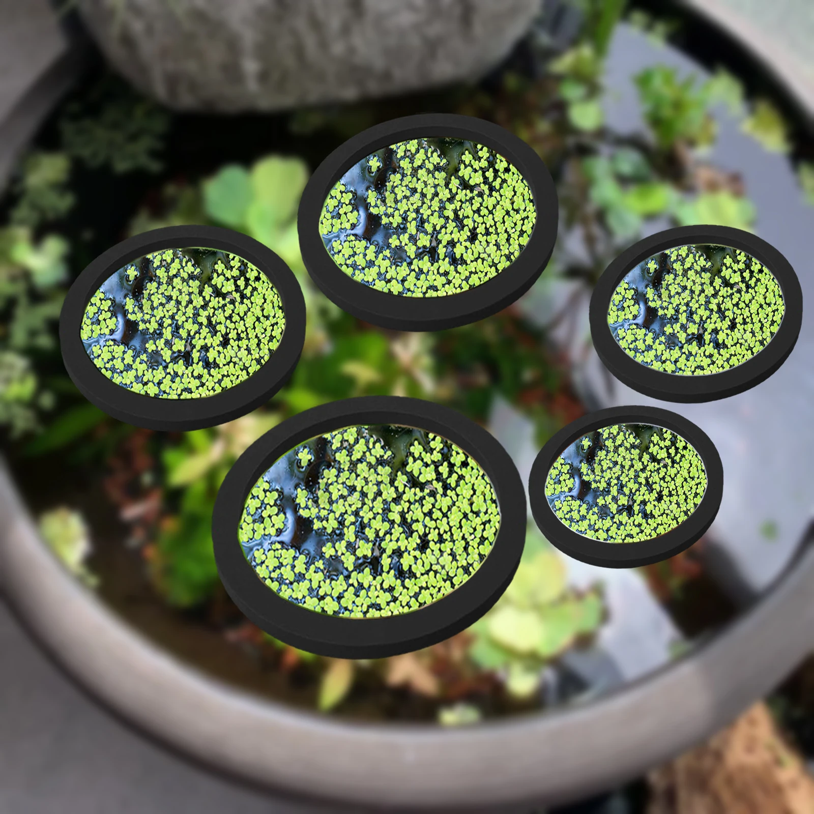 Aquarium Fish Accessories - EVA 물고기 먹이 고리 수족관 플로팅