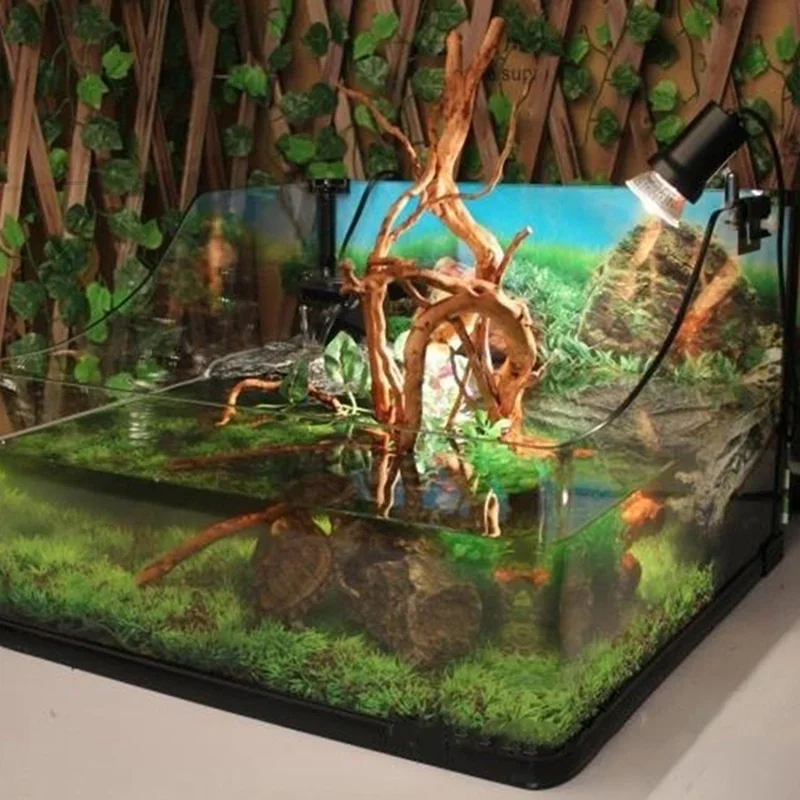 천연 나무 줄기 유목 수족관 어항, 파충류 실린더 뿌리 - Aquarium Fish Tank Price 리뷰 및 가격