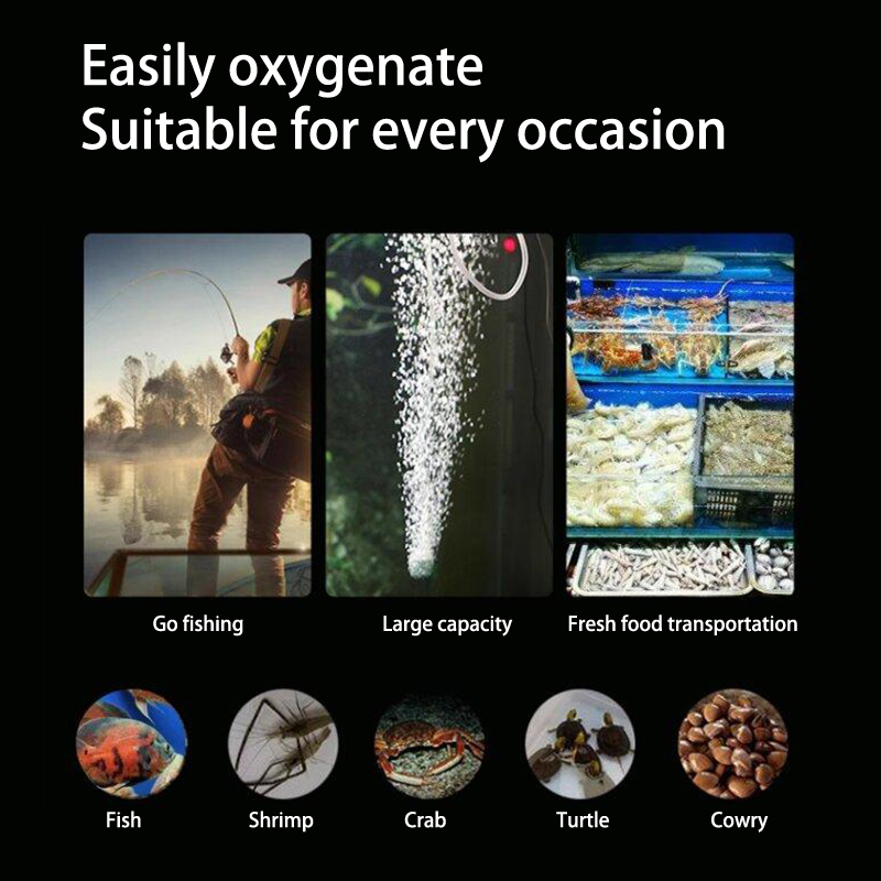 미니 수족관 에어 펌프 키트, 산소 펌프, USB 수족 - Aquarium Fish Accessories 리뷰 및 가격