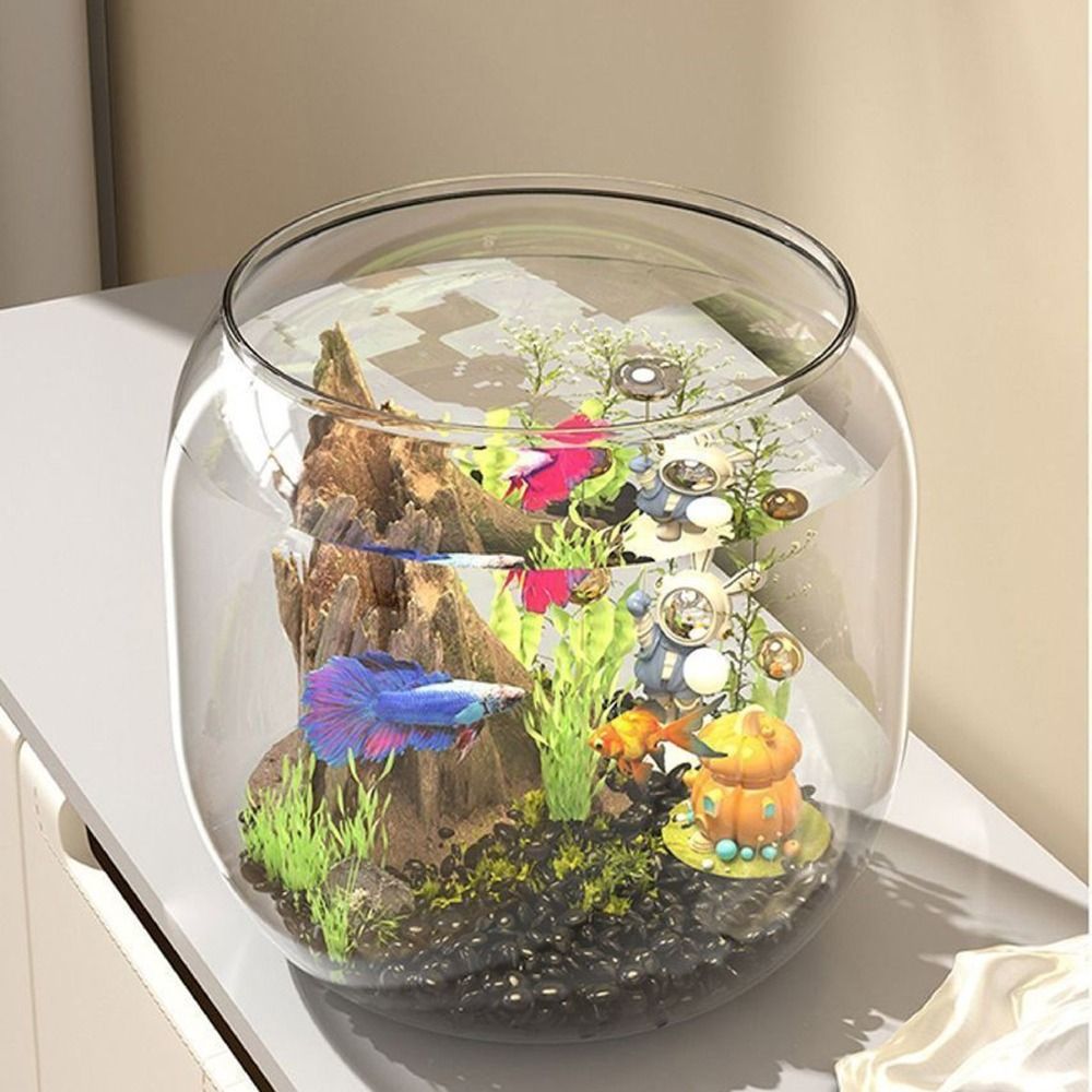투명한 원형 어항, 깨지지 않는 플라스틱 관상용 어항, - Aquarium Fish Live 리뷰 및 가격