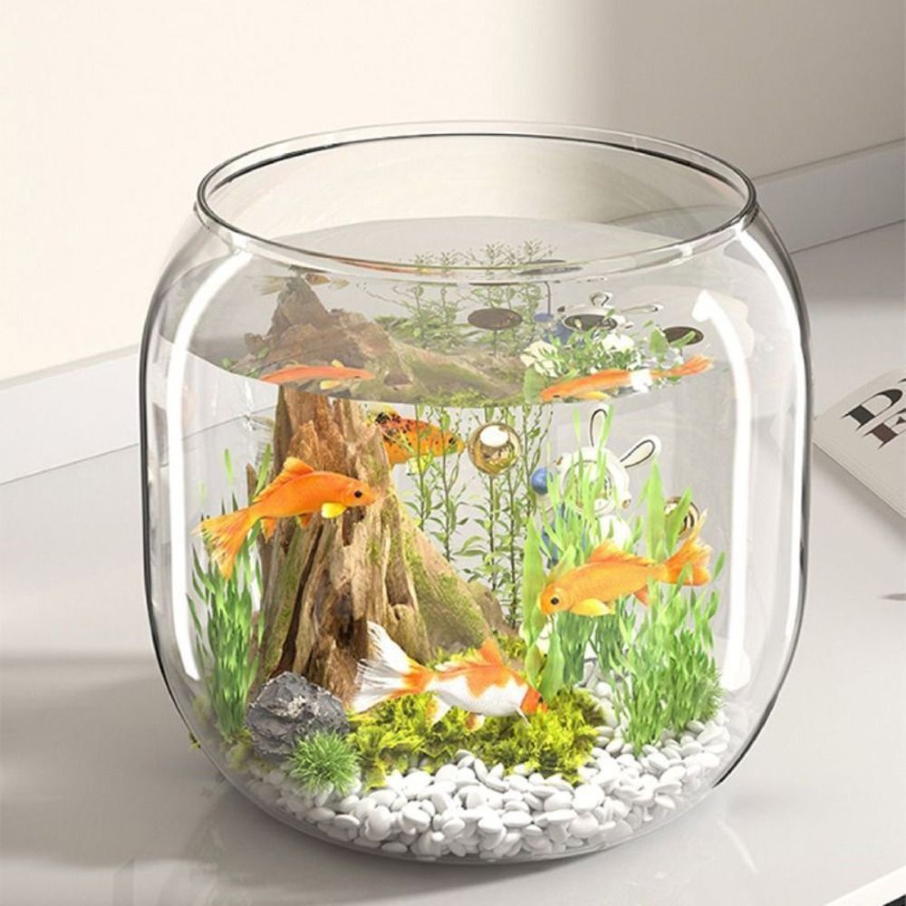 투명한 원형 어항, 깨지지 않는 플라스틱 관상용 어항, - Aquarium Fish Live 리뷰 및 가격