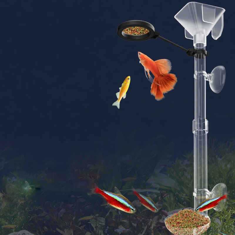 아크릴 수족관 물고기 먹이통 투명 튜브 텔레스코픽 다기 - Aquarium Fish Food 리뷰 및 가격