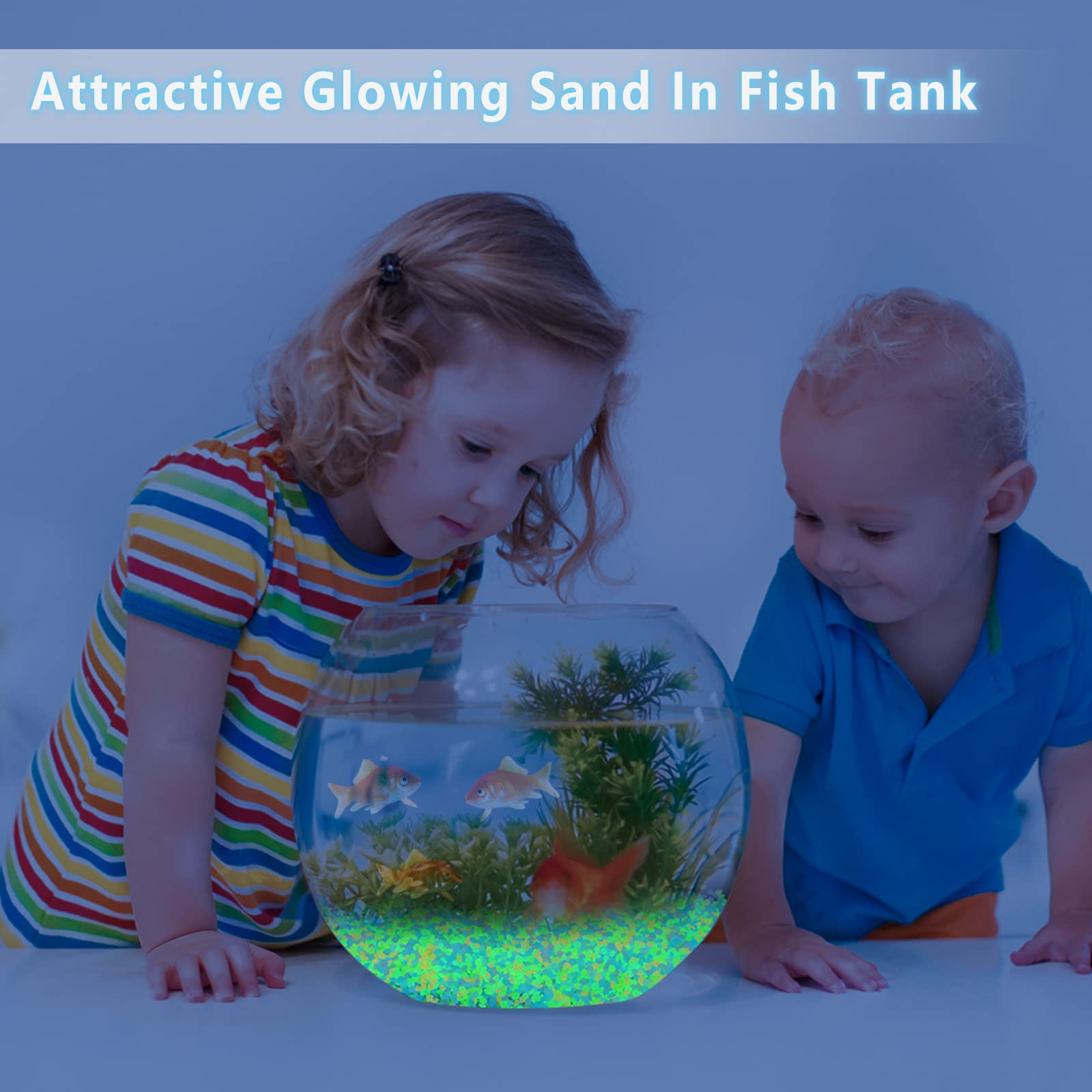 1000개 발광 모래 어둠 속에서 빛나는 자갈 돌 가정 - Aquarium Fish Store 리뷰 및 가격