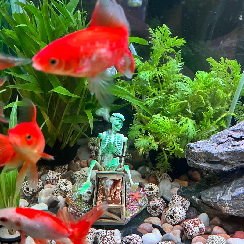 어항 에어로빅 랜드스케이프 버블 에어 펌프 재미있는 어 - Aquarium Fish Tank Price 리뷰 및 가격