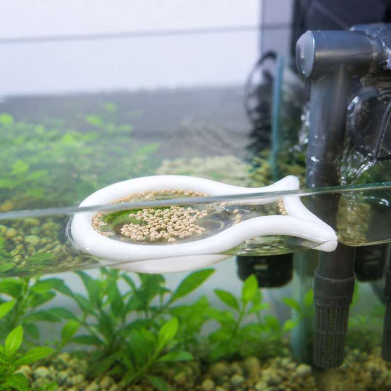 물고기 모양의 부유식 먹이 링, 어항 물고기 사료 집중 - Aquarium Fish Food 리뷰 및 가격