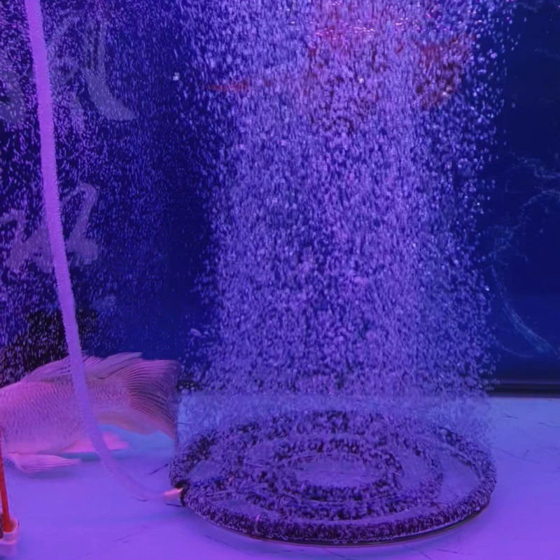 1개 나노 에어레이션 디스크 어항/해산물 양식장 산소  - Aquarium Fish Koi 리뷰 및 가격