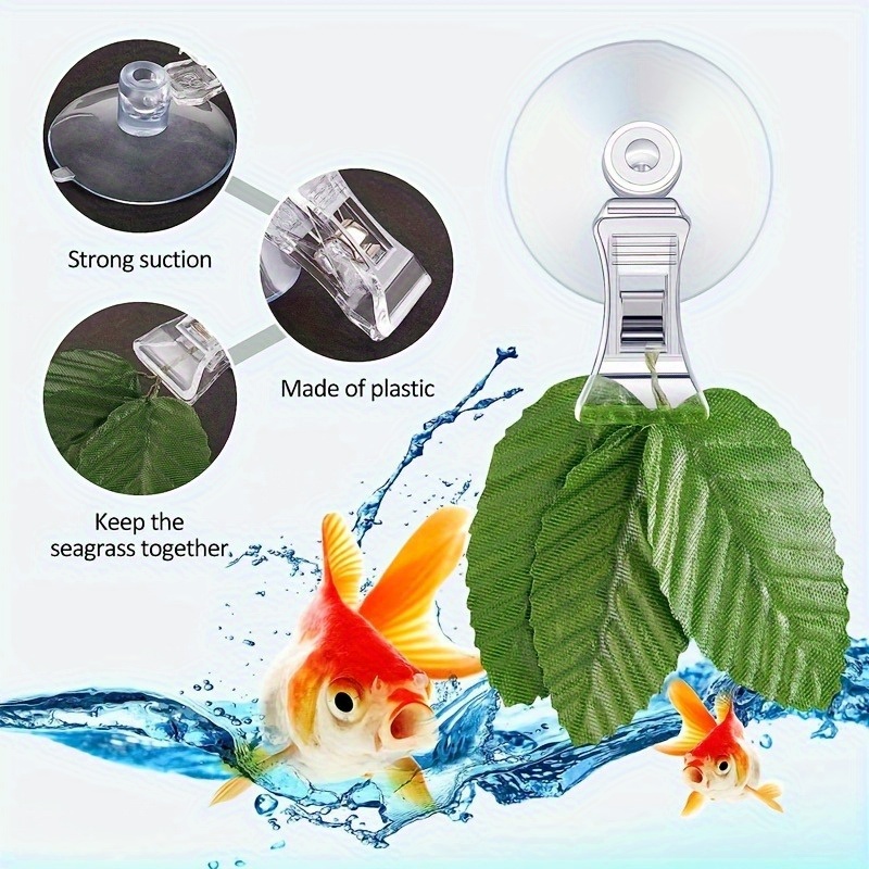 8pcs 물고기 해초 클립 식물 흡입 컵 클립 피드 홀 - Aquarium Fish Food 리뷰 및 가격