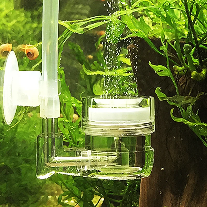 수족관 4 in 1 CO2 디퓨저 유리 탱크 버블 리액 - Aquarium Fish Live 리뷰 및 가격