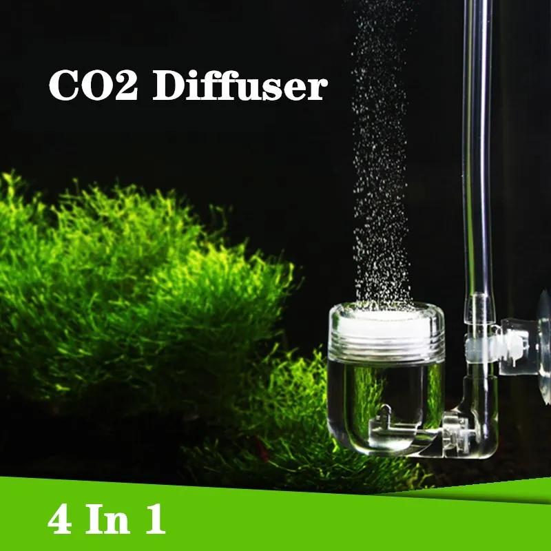 수족관 4 in 1 CO2 디퓨저 유리 탱크 버블 리액 - Aquarium Fish Live 리뷰 및 가격