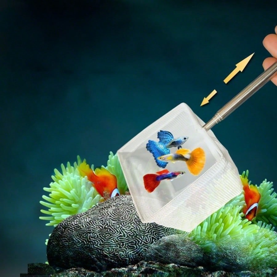 수족관 물고기 그물망 - 어린 물고기와 새우를 위한 접 - Aquarium Fish Food 리뷰 및 가격