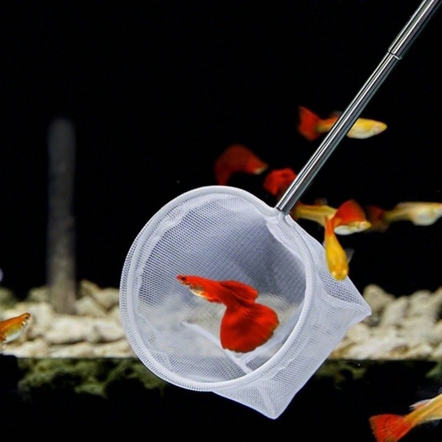 수족관 물고기 그물망 - 어린 물고기와 새우를 위한 접 - Aquarium Fish Food 리뷰 및 가격