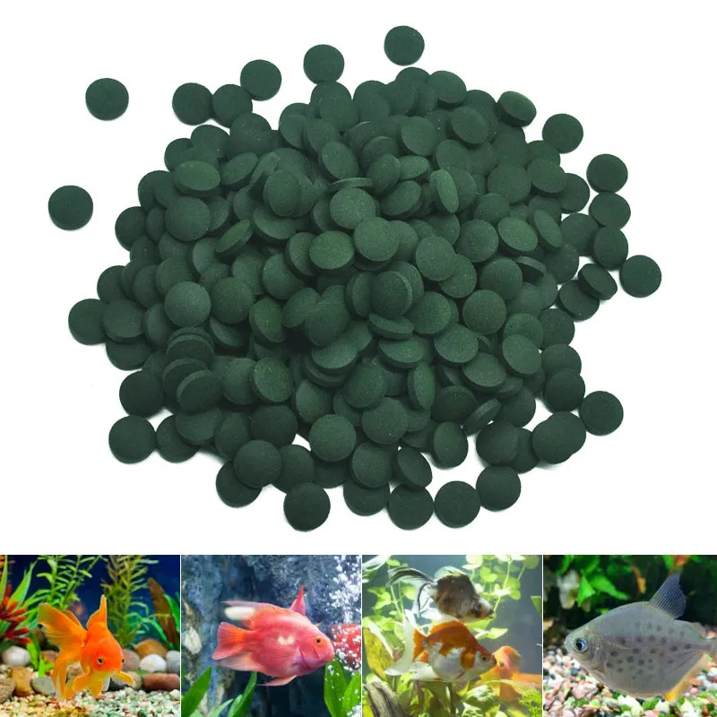 50-300개 고순도 스피룰리나 정제 나선형 해조류 강 - Aquarium Fish Food 리뷰 및 가격