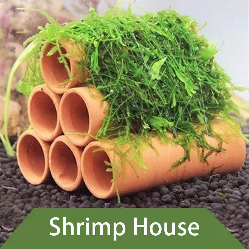 점토 수족관 장식 물고기 새우 놀이 숨어있는 동굴 대피 - Aquarium Fish Tank Price 리뷰 및 가격