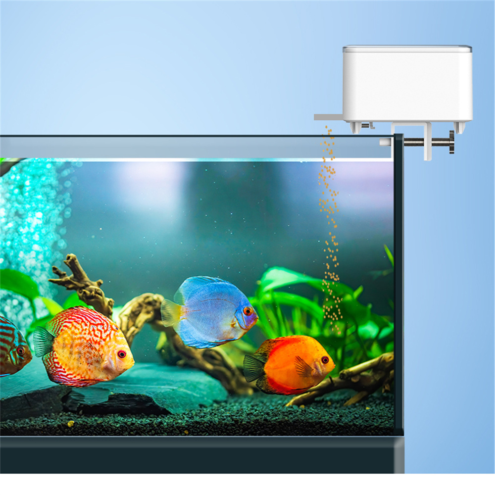 WiFi 스마트 자동 급식기 어항 금붕어 타이밍 급식기 - Aquarium Fish Food 리뷰 및 가격