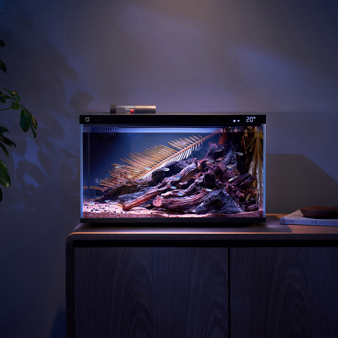 Xiaomi Mijia 스마트 물고기 탱크 MYG100 - Aquarium Fish Food 리뷰 및 가격