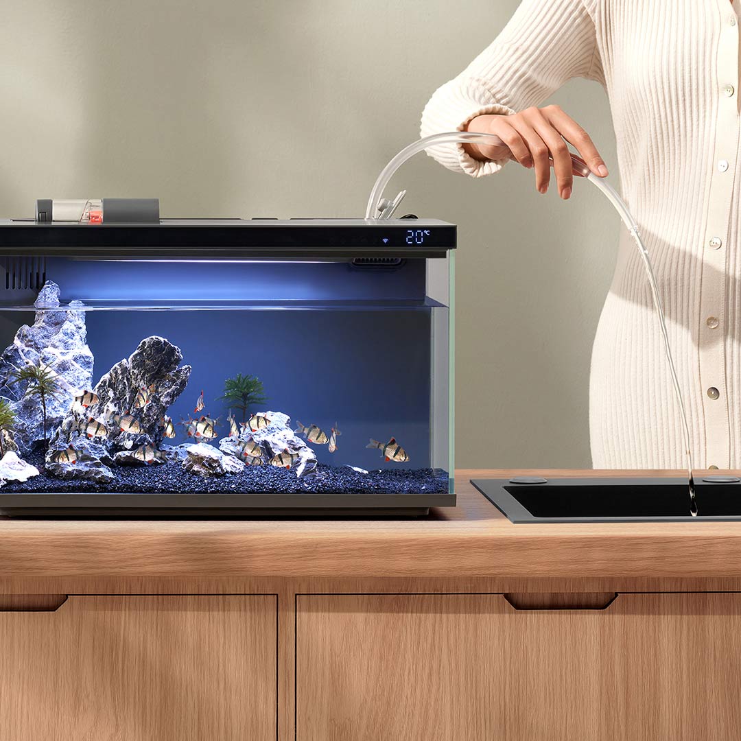 Xiaomi Mijia 스마트 물고기 탱크 MYG100 - Aquarium Fish Food 리뷰 및 가격