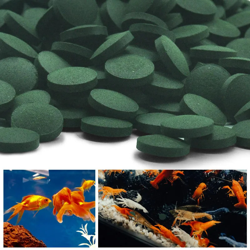 100-1500개 고순도 스피룰리나 정제 스피룰리나 해 - Aquarium Fish Food 리뷰 및 가격