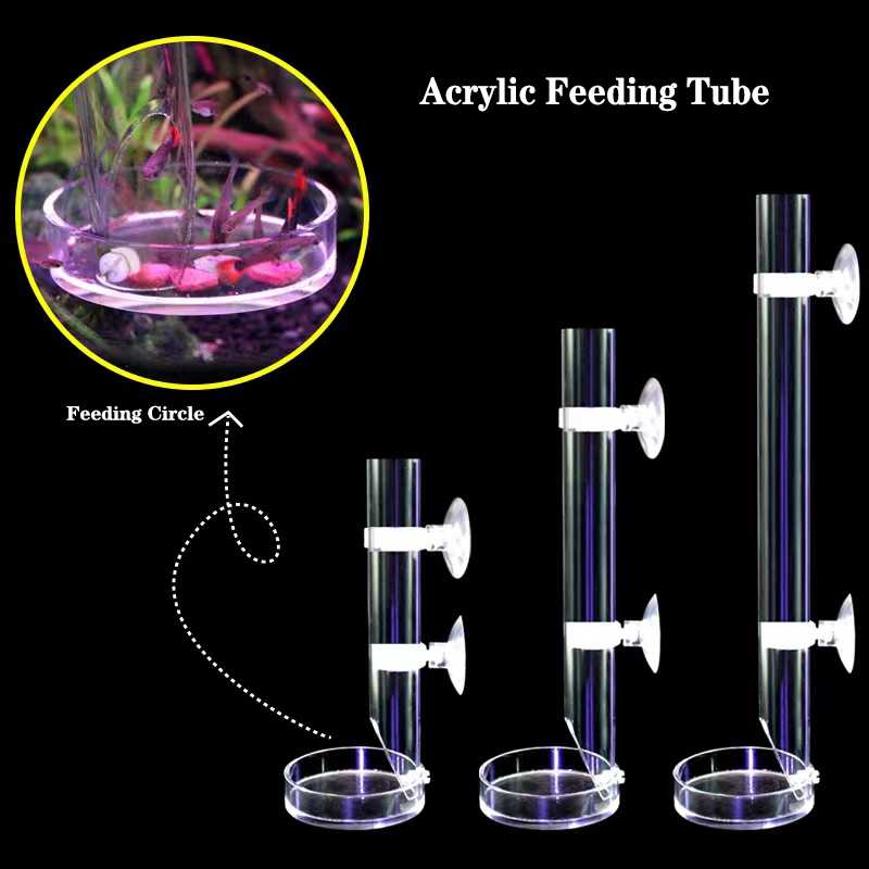 아크릴 수족관 피더 튜브 접시, 투명 어항 새우, 달팽 - Aquarium Fish Food 리뷰 및 가격