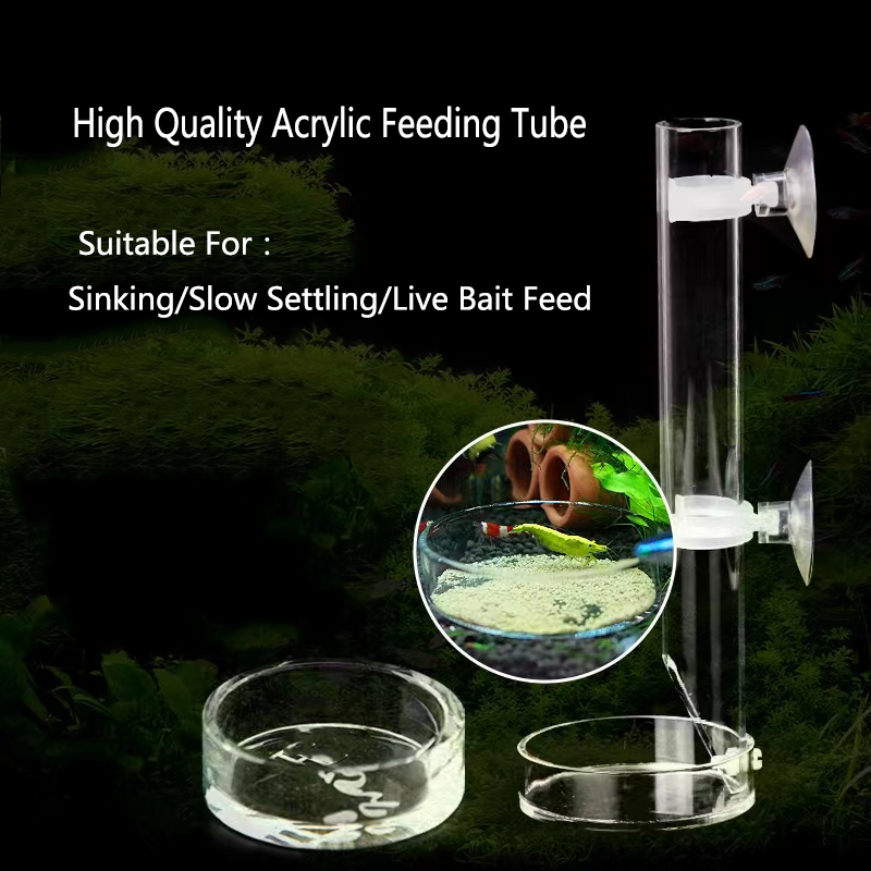 아크릴 수족관 피더 튜브 접시, 투명 어항 새우, 달팽 - Aquarium Fish Food 리뷰 및 가격