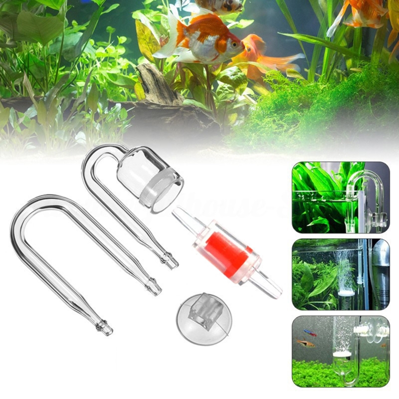 수족관 유리 탱크용 DIY CO2 디퓨저, 버블 반응기 - Aquarium Fish Store 리뷰 및 가격
