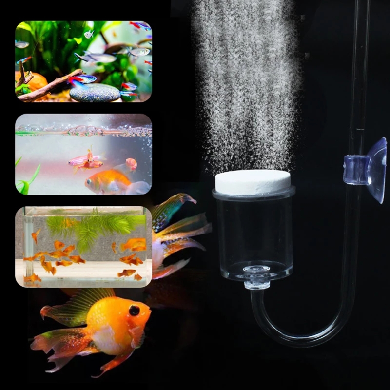 수족관 유리 탱크용 DIY CO2 디퓨저, 버블 반응기 - Aquarium Fish Store 리뷰 및 가격